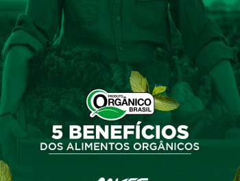 alimentos orgânicos