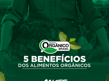 alimentos orgânicos